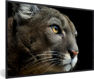 Produktbild von MuchoWow® Gerahmtes Poster Puma - Wilde Tiere - Porträt 30x20 cm - Poster mit Schwarzem Bilderrahmen Wandposter Rahmen Foto Bilder - Kunstdruck - Bild-Poster