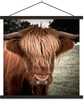 Produktbild von MuchoWow® Textilposter Schottisches Hochlandrind - Baum - Gras 120x120 cm mit schwarzem Rahmen - Aufhängungsset
