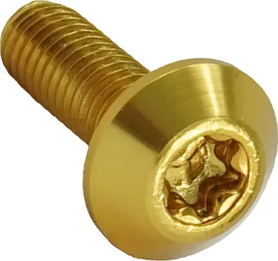Produktbild von Alu Torx T25 M5x15 Linsenkopfschraube Gold