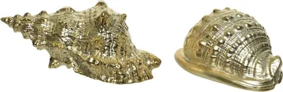 Produktbild von Schnecke Muschel maritim Porzellan Gold H ca. 7 cm 2er Set
