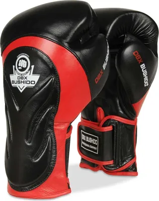 Image de Gants de boxe DBX BUSHIDO BB4 14oz