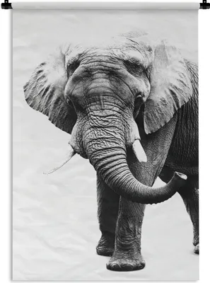 Produktbild von MuchoWow® Wandteppich Wandbehang Elefant vor weißem Hintergrund - schwarz und weiß 90x135 cm Tapisserie Dekoration Wandtuch - Baumwolle - Wandskulptur