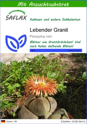 Produktbild von SAFLAX - Lebender Granit - Pleiospilos nelii - 40 Samen - Mit keimfreiem Anzuchtsubstrat
