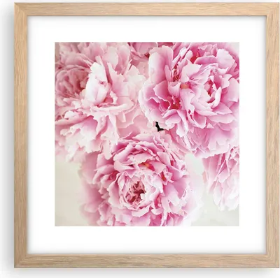 Produktbild von Gerahmtes Poster - Rahmen in heller Eiche - Pfingstrosen Blumenstrauß Blumen - 30x30 cm - Wand Bild - Wanddeko - Wandbilder - Kunstposter - Wandposter - Bilderrahmen - Bilder - P2NAC30x30-4961