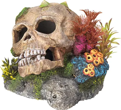 Immagine prodotto di Ornamenti acquatici "TOTENKOPF" con piante 13,5 x 13,5 x 10,5 cm
