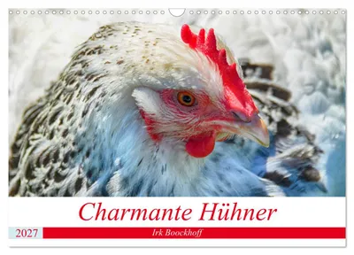 Produktbild von Charmante Hühner (Wandkalender 2027 DIN A3 quer), CALVENDO Monatskalender