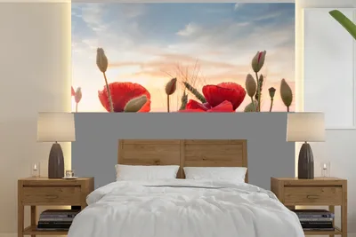 Produktbild von MuchoWow® Fototapete für Wohnzimmer oder Schlafzimmer Wandtapete Vinyl Motivtapete Sonnenuntergang hinter den schönen Mohnblumen - 280x280 cm - Hintergrundbild