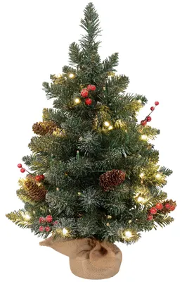 Produktbild von HOMCOM Künstlicher Weihnachtsbaum 0,6 m Christbaum mit 50 warmweißen LED