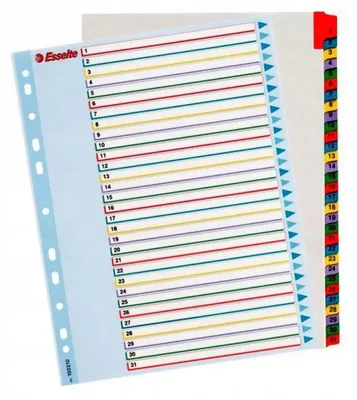 Produktbild von ESSELTE Registerkarten zum Wiederbeschriften Mehrfarbig A4+