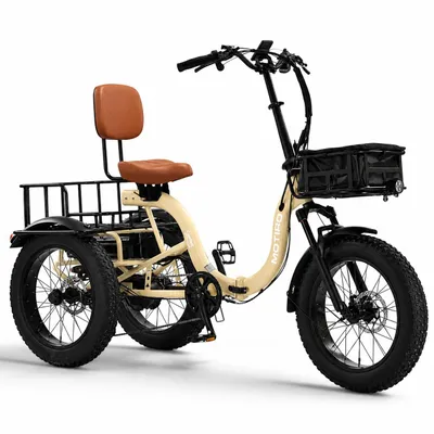 Productafbeelding van Motiro M6 elektrische driewieler voor volwassenen, 20 inch fatbike, crème, 250 W, 48 V 15 Ah, tot 80 km, tot 180 kg, Shimano 7 versnellingen, opvouwbaar, differentieel, rugleuning
