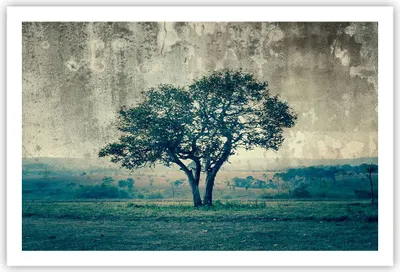 Produktbild von Poster - Poster ohne Rahmen - Baum Natur Feld - 91,5x61 cm - Wand Bild - Wanddeko - Wandbilder - Kunstposter - Wandposter - Bilder - Kunstdruck - Wanddekoration - Wandbild - P2XAA91x61-3627