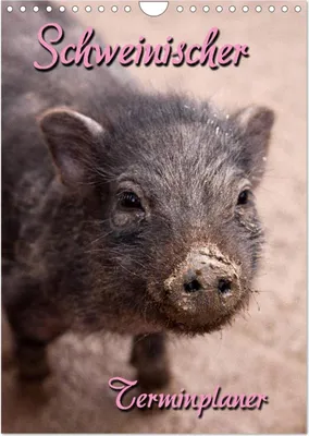 Produktbild von Schweinischer Terminplaner (Wandkalender 2025 DIN A4 hoch), CALVENDO Monatskalender