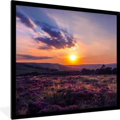 Produktbild von MuchoWow® Gerahmtes Poster Sonnenuntergang in der Heidelandschaft 40x40 cm - Poster mit Schwarzem Bilderrahmen Wandposter Rahmen Foto Bilder - Mit Rahmen - Wanddekoration Schlafzimmer