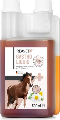 Produktbild von REAVET Gastro Liquid für Pferde 500ml – Darmsanierung Pferd I Unterstützt die Darmflora & natürliche Darmregulierung - sekundierend bei Durchfall oder Blähungen