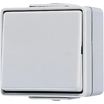 Produktbild von JUNG 607 W - Drucktasten-Schalter - Kabelgebunden - Duroplast - Grau - 250 V - 10 A