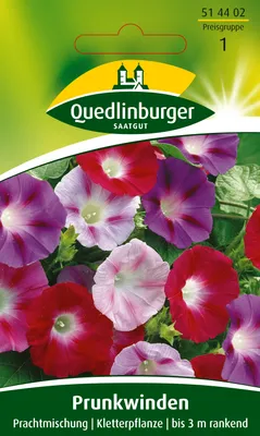 Produktbild von Prunkwinden