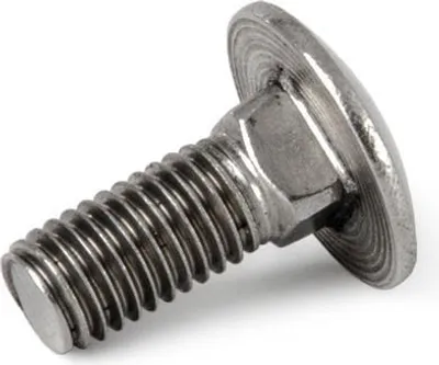 Image de G21 boulon de porte M10x25, DIN 603, acier inoxydable
