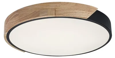 Image de Maple 2