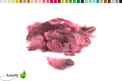 Produktbild von 3g Perlhuhnfedern ca. 3-10cm, Farbauswahl:rosa 148