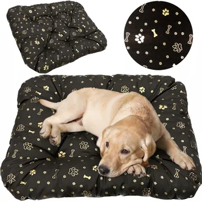 A dog lying on a dog bed with a paw and bone pattern.