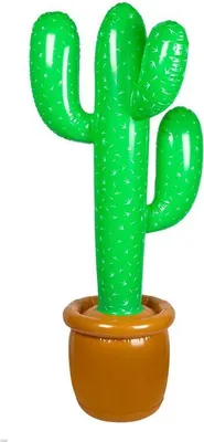 Image de Cactus gonflable 86 cm