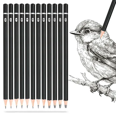 Produktbild von Zeichen-Skizzenstiftset, 12 Stück Grafitstifte (14B-4H), mit Metalletui, für Zeichnungen