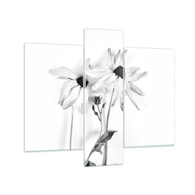 Produktbild von Bilder auf glas - 3 Teile - Verwelkt Blumen Monochrom - 95x80cm - Glasbilder - Wandbilder - Bilder - zum Aufhängen bereit - Wanddekoration aus Glas - Glas Bilder - Wandbild auf Glas - GCB95x80-4737