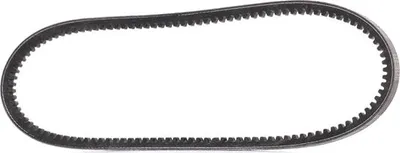 Obrázok produktu pre V-Belt 13*835