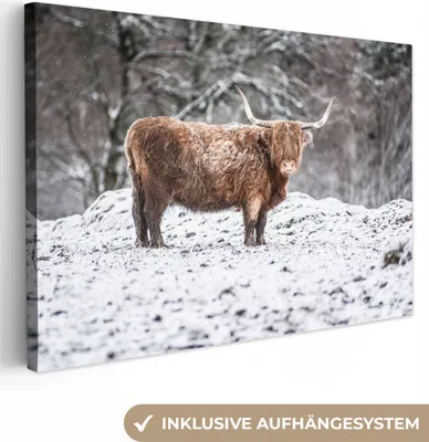 Produktbild von OneMillionCanvasses® - Leinwandbilder - 140x90 cm, Schottisches Hochlandrind - Baum - Schnee, Wandbilder Kunstdruck Wanddekoration