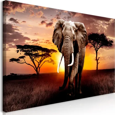 Produktbild von Wandbild Mega XXXL Afrika 250x125 cm Einteiliger XXL-Format Kunstdruck zur Selbstmontage Leinwandbilder moderne Bilder DIY Wanddekoration Wohnung Deko Landschaft Natur Elefant g-C-0054-ak-f