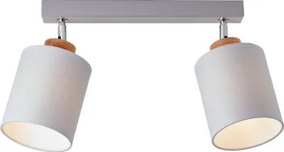 A close-up studio shot of a two-light ceiling fixture.