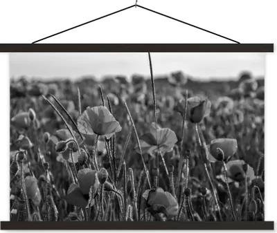 Produktbild von MuchoWow® Textilposter Blumen - Mohnblumen - Natur - Rot 60x40 cm mit schwarzem Rahmen - Hölzernes