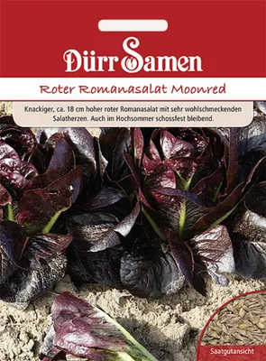 Produktbild von Dürr-Samen - Romana-Salat Moonred - Saatgut - 4244