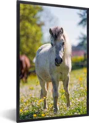 Produktbild von MuchoWow® MuchoWow® Gerahmtes Poster Pferd - Blumen - Licht 40x60 cm - Poster mit zchwarzem Bilderrahmen - Papierdruck - Wandbilder