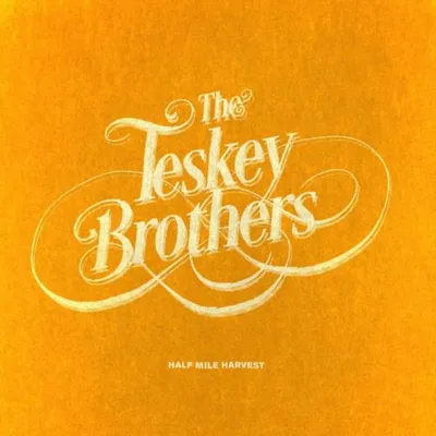 Obrázok produktu pre Bratia Teskeyovci: Teskey Brothers: (180g) - - (LP / H)