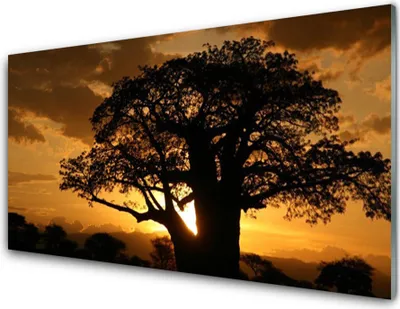 Imagen del producto de Impresiones en acrílico, tamaño 100x50 cm, para colgar en la pared. Motivo: árbol, naturaleza