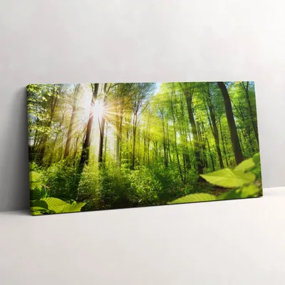 Produktbild von Sonnenstrahlen im Wald – Leinwandbild Wandbild – 100x50 cm – Leinwandbilder – Wandbilder – Schlafzimmer – Flur