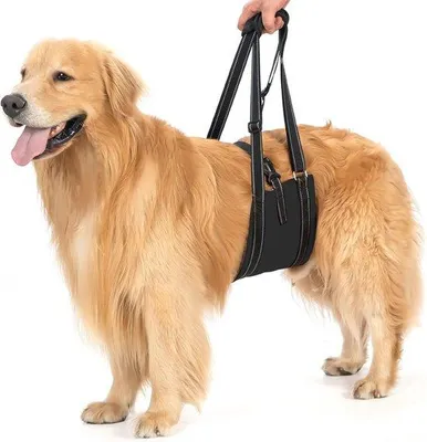 Productafbeelding van Avont tuigje voor honden, tuig voor grote honden