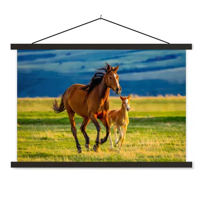 Produktbild von MuchoWow® Textilposter Pferde - Gras - Tiere - Landschaft - Natur 60x40 cm mit schwarzem Rahmen - Hölzernes