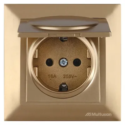Produktbild von Steckdose mit Klappdeckel und Rahmen Gold Optik – Unterputz IP20 – CANDELA