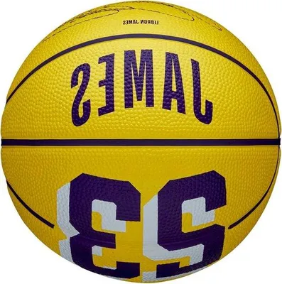 Produktbild von Famanu Basketball NBA Player Icon - LeBron James, Mini Größe, Wetterfest