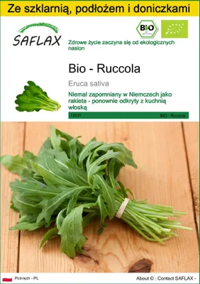 Zdjęcie produktu dla SAFLAX - Zestaw do uprawy - Bio - Ruccola - 3000 Nasiona - Z mini szklarnią, podłożem uprawowym i 2 doniczkami - Eruca sativa