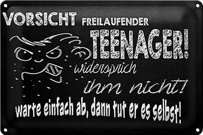 Produktbild von Blechschild Spruch 40x30cm Vorsicht freilaufender Teenager