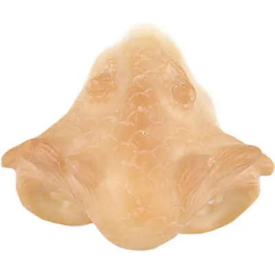 Produktbild von Grimas Latex Drachenmaul 304