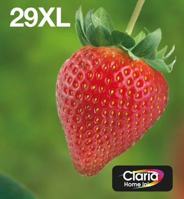 Immagine prodotto di Epson Multipack 29XL EasyMail - confezione da 4 pezzi - XL - Nero, Giallo, Ciano, Magenta - originale - pronta per la spedizione - cartuccia d'inchiostro - per Expression Home XP-245, 247, 255, 257, 332, 342, 345, 352, 355, 435, 442, 445, 452, 455