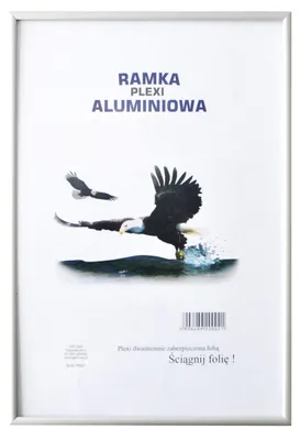 Aluminium-Fotolijst 70x100 cm Silber mit transparenter Scheibe