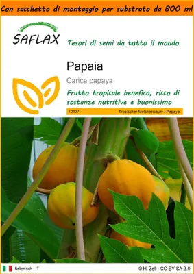 Immagine prodotto di SAFLAX Garden in the bag - Papaia - 30 semi - Carica