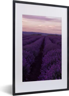Produktbild von MuchoWow® Gerahmtes Poster Lavendel - Lila - Blumen - Natur 40x60 cm - Poster mit Schwarzem Bilderrahmen Wandposter Rahmen Foto Bilder - Poster in Rahmen