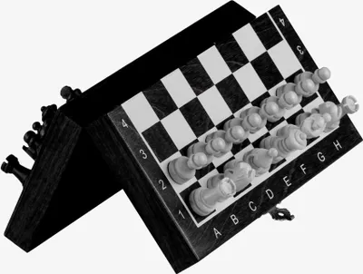 Produktbild von Mini MAGNETISCHES Holzschachspiel - schwarz