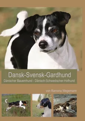 Produktbild von Dansk-Svensk-Gardhund - Dänisch-Schwedischer-Hofhund - Dansk-Svensk-Farmdog - Dänischer Bauernhund